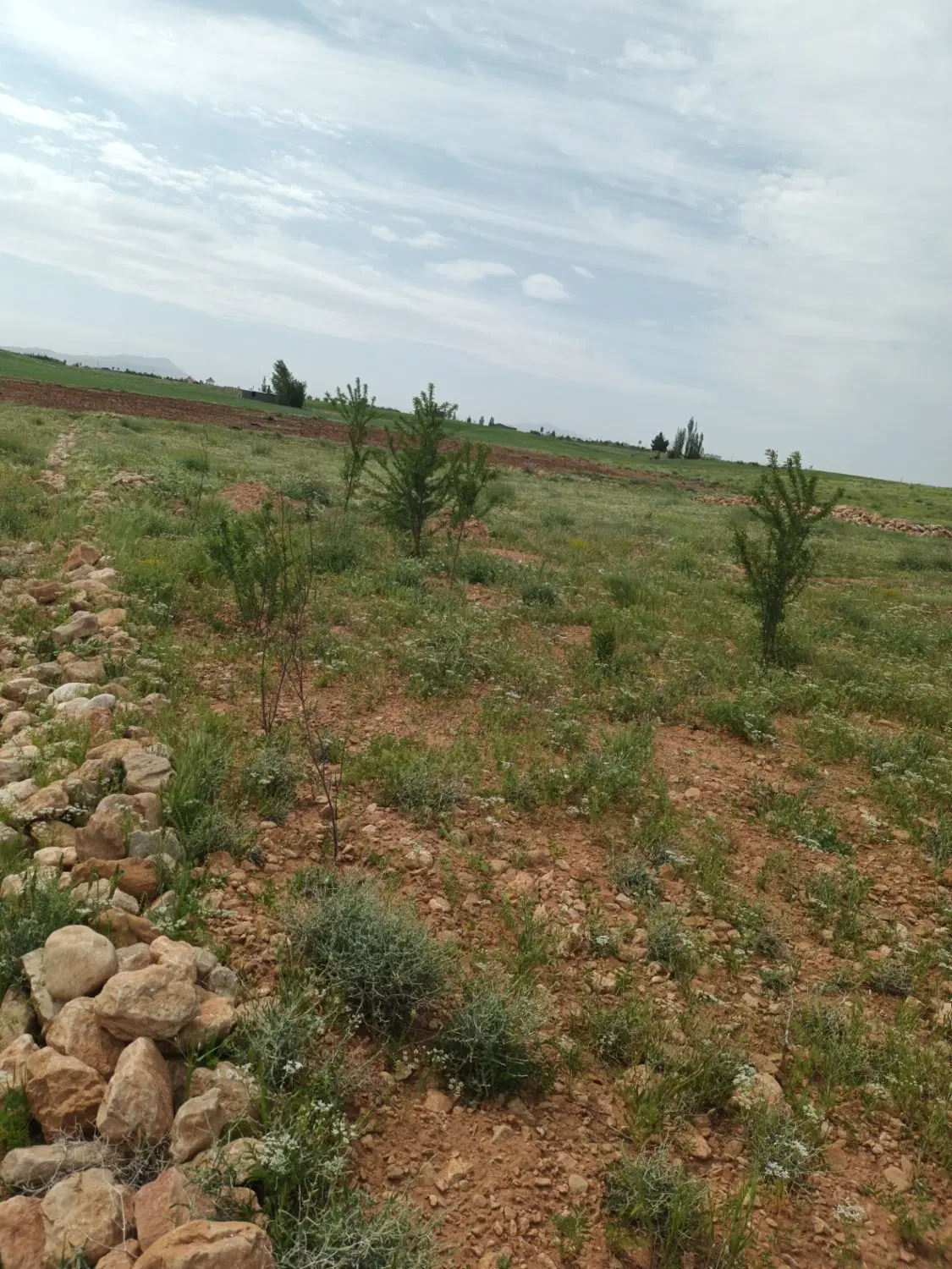 زمین باغ شهری