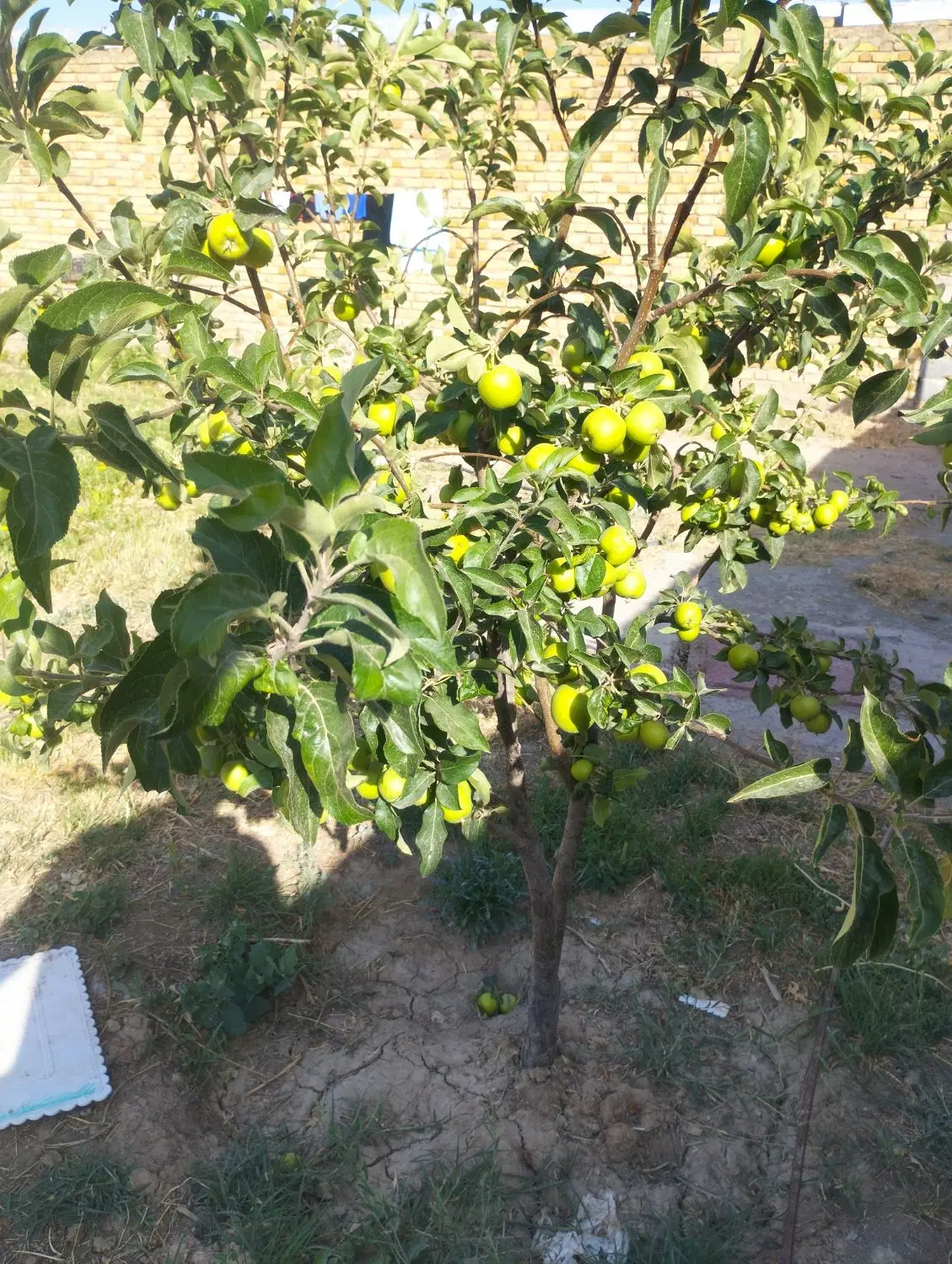 خانه روستایی
