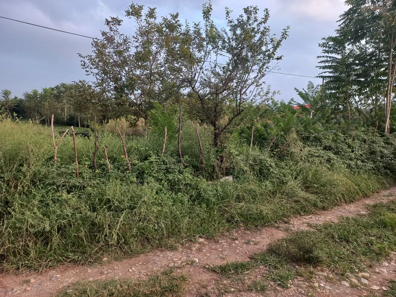 ۹۵۰متر زمین با پروانه ساخت
