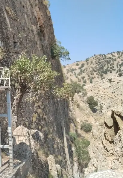 ملک تجاری بهر جاده دورود بروجرد