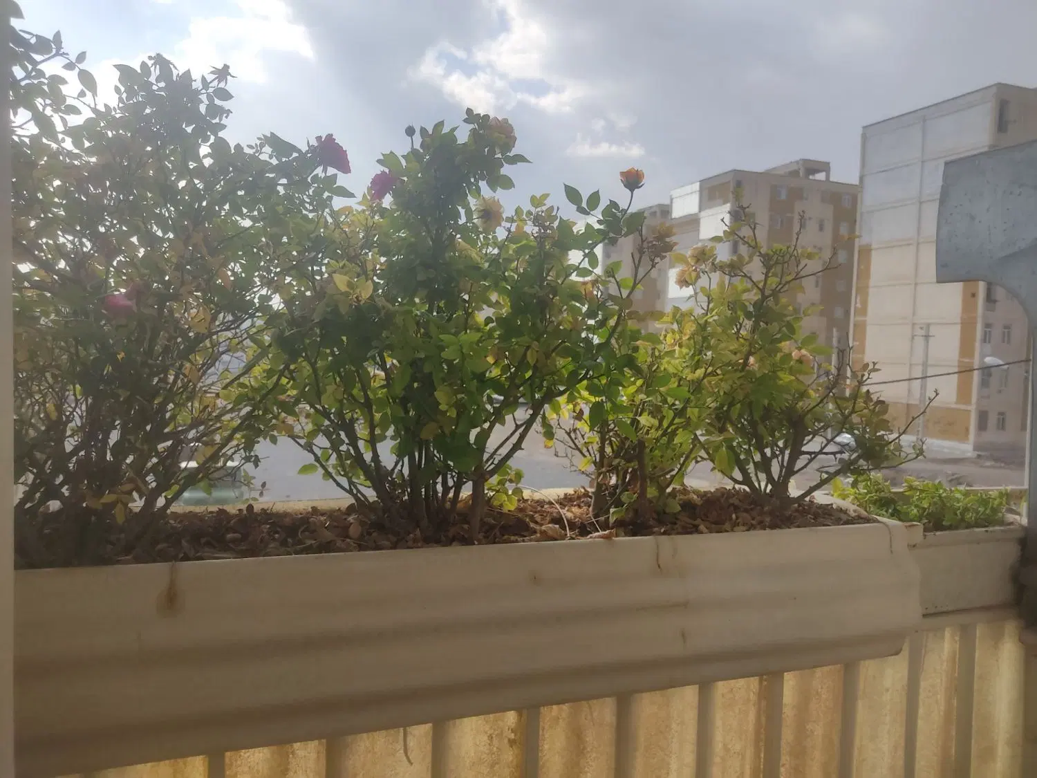 آپارتمان مسکن مهر یاس