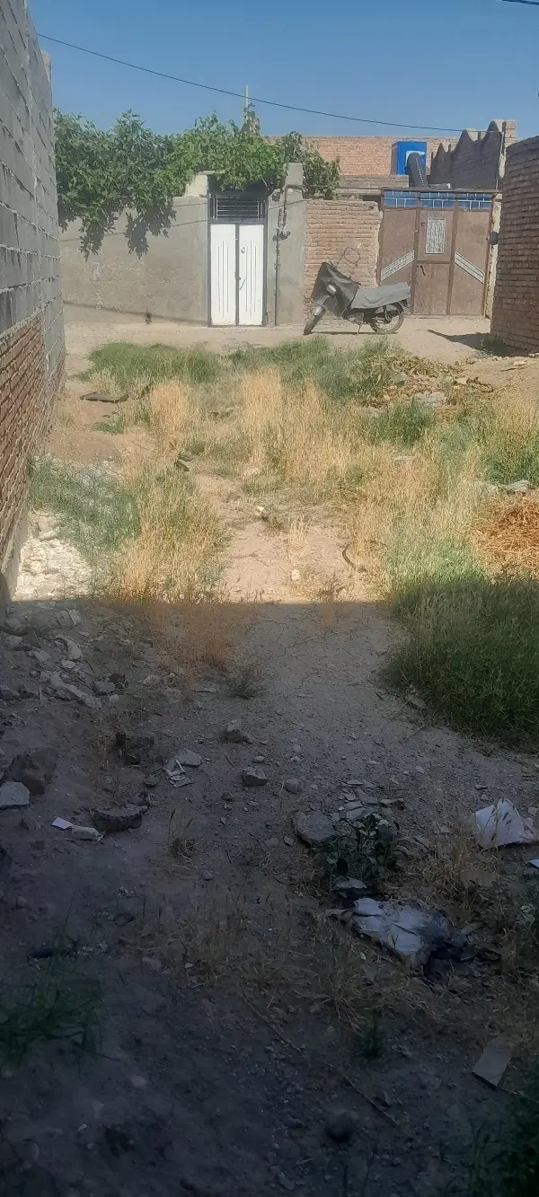 زمین