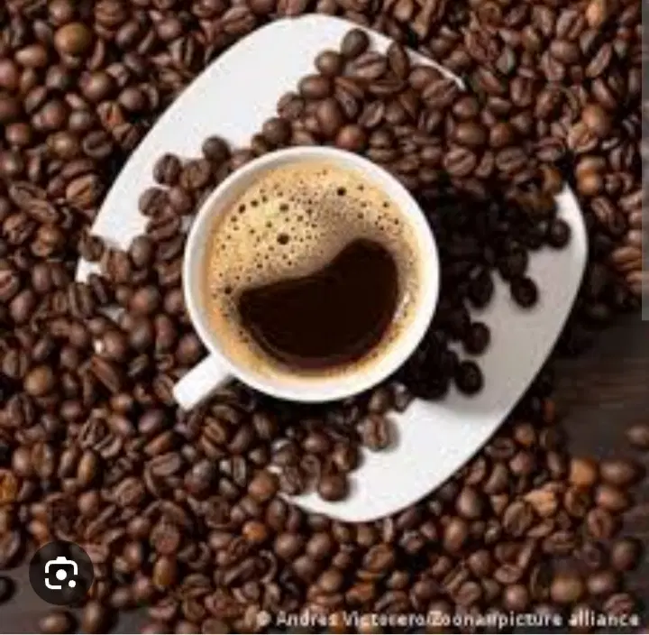 مغازه اجاره