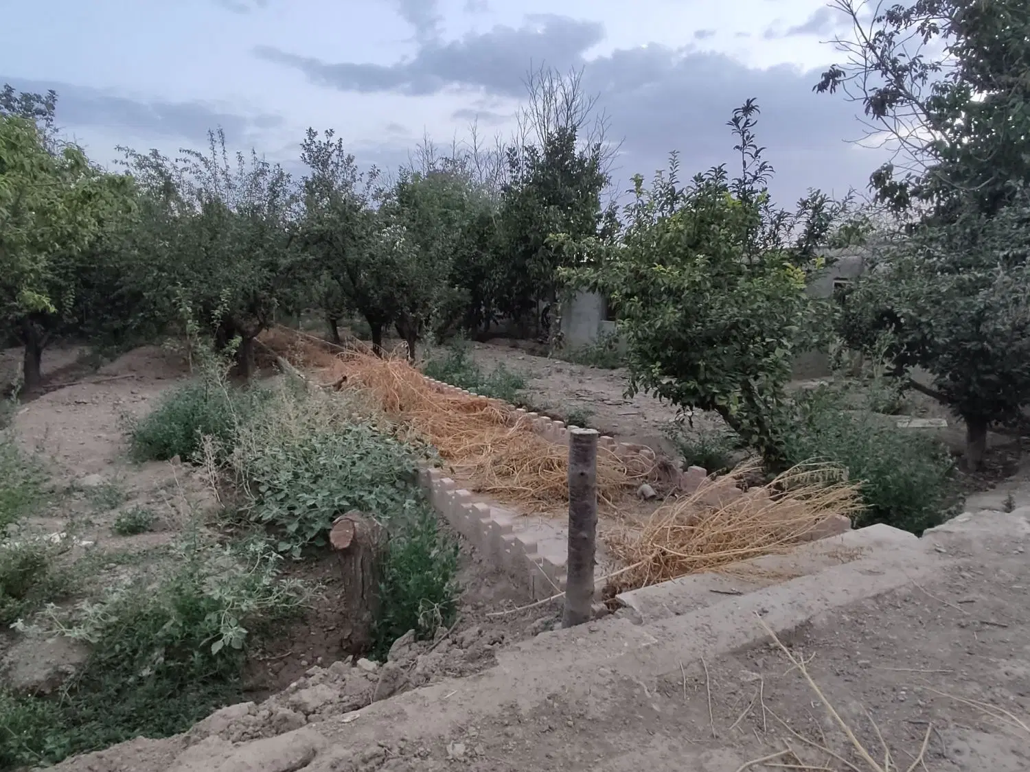 فروش باغچه ۲۵۰متری