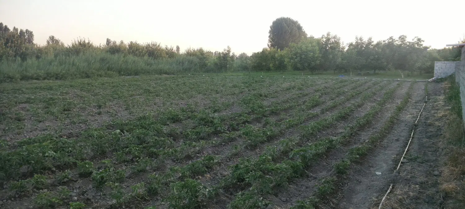 زمین ویلایی در اردوشاهی کوی صبا