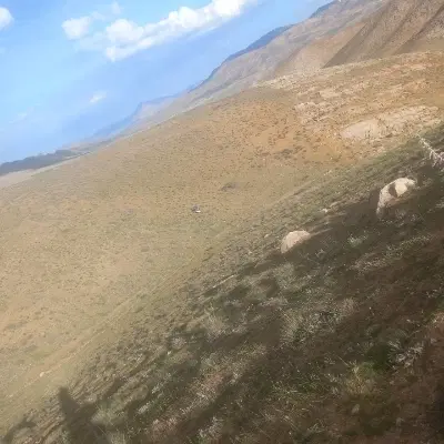 فروش زمین کشاورزی دیمی کنار امامزاده حمزه علی