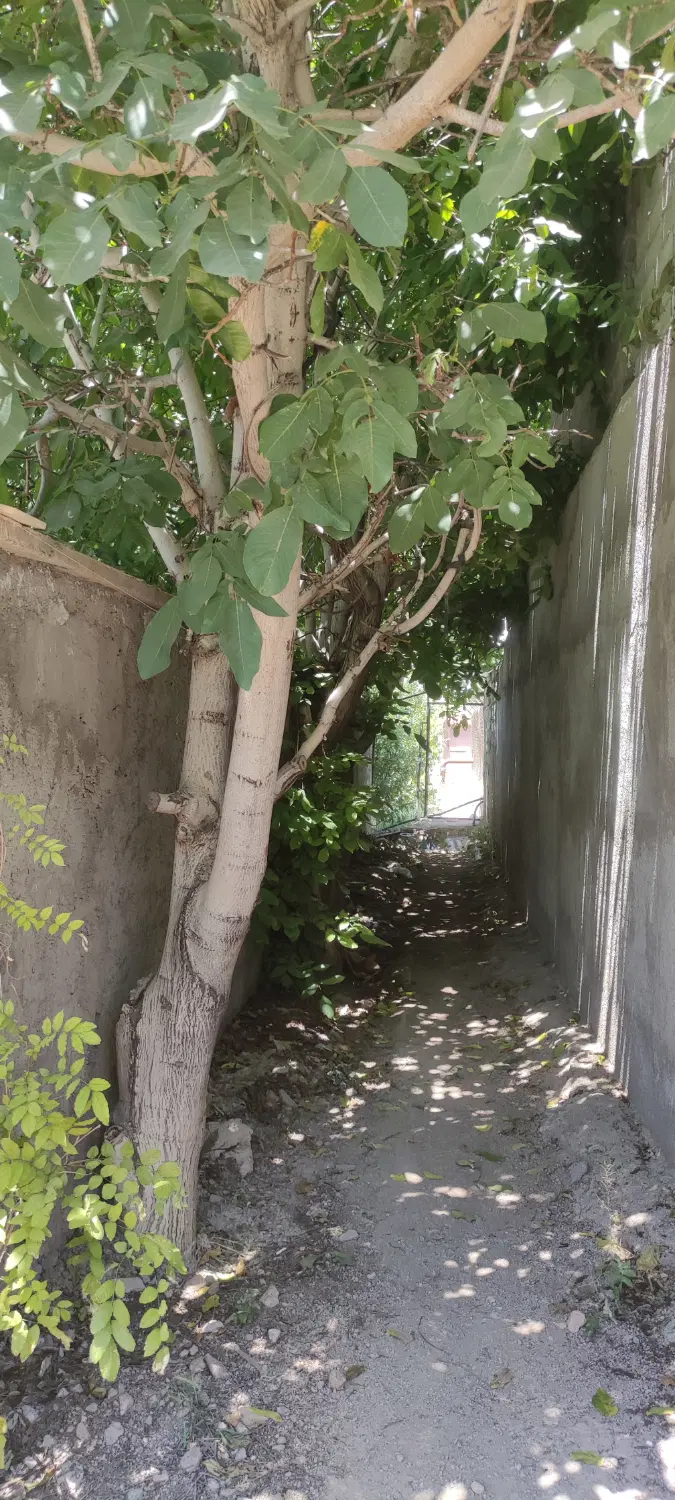 ۷۲۰ متر ویلا در جابان