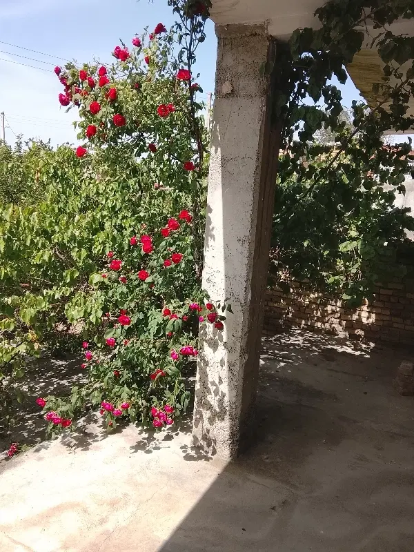 منزل مسکونی