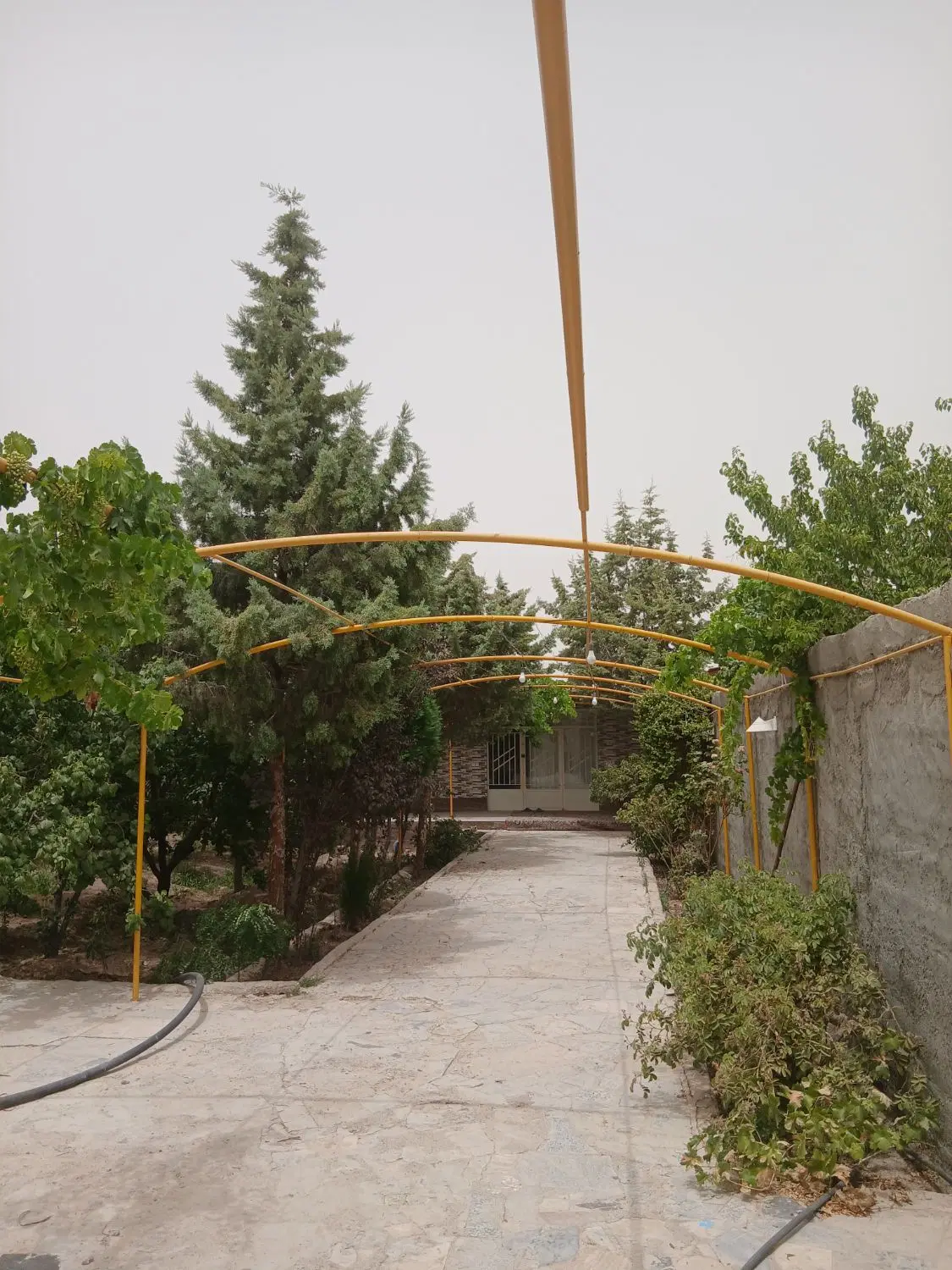 باغ ویلا