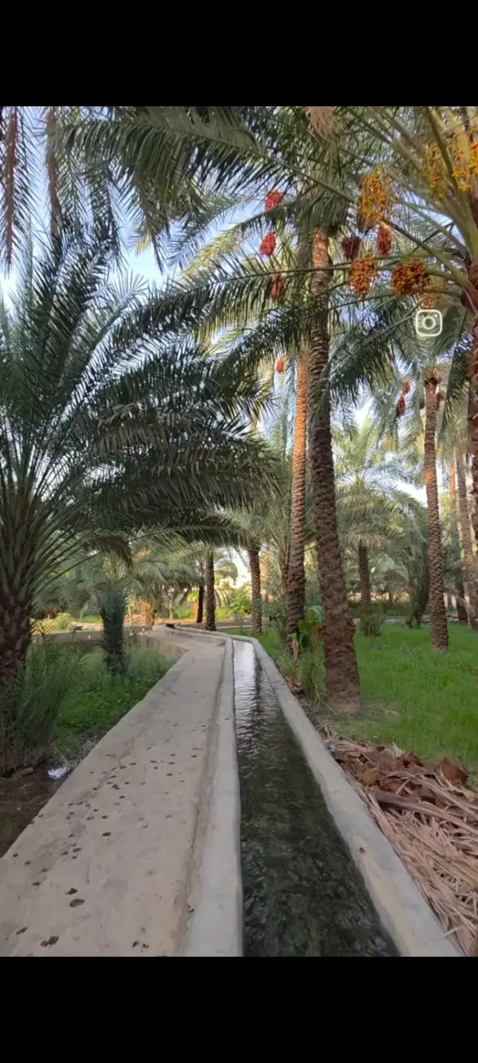 فروش جزیره مینو ا وساحلی آبادان روبه جزیره