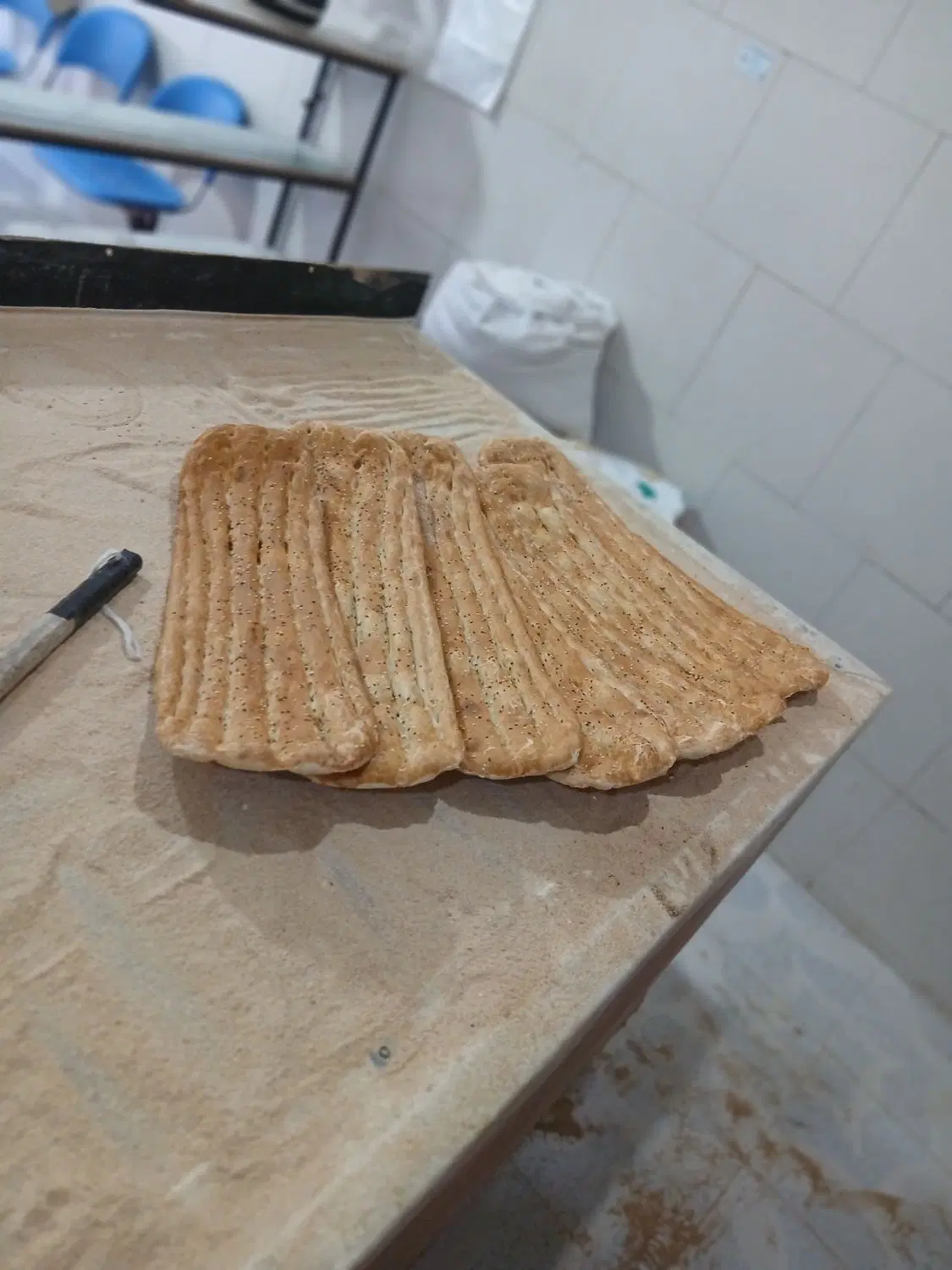 جواز  نانوایی بربری دولتی