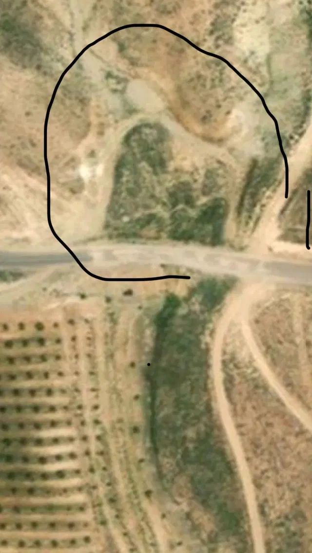 باغ بادام