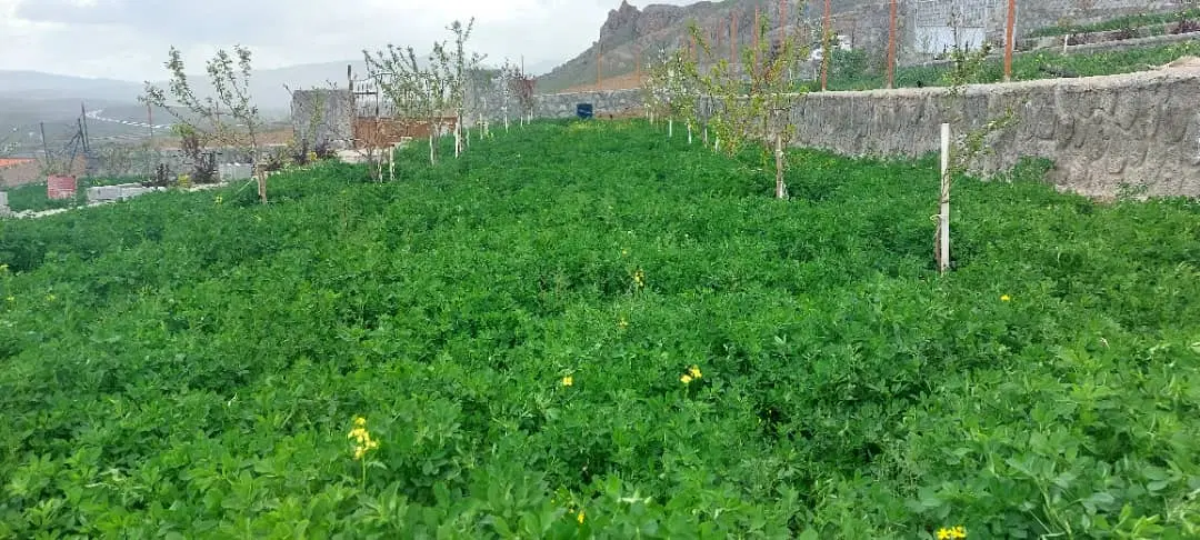 فروش باغ اسپیران1150متری