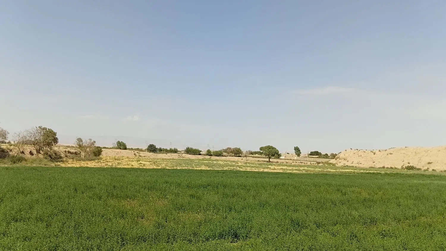 زمین کشاورزی