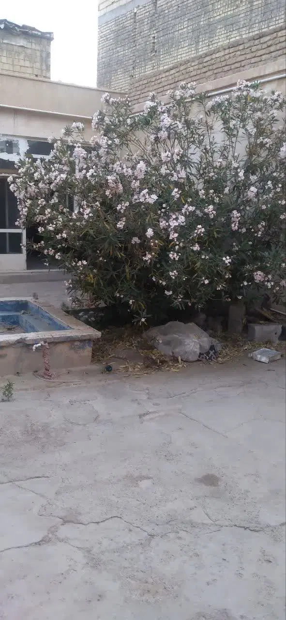 خانه کلنگی قدیمی ۴۰۰ متری قهجاورستان