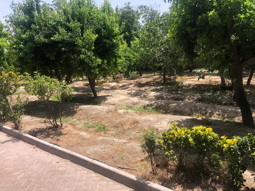 ۱۰۰۰ متر زمین شهرکی۱۴۰ متر بنا سند دار باکری شهرکی
