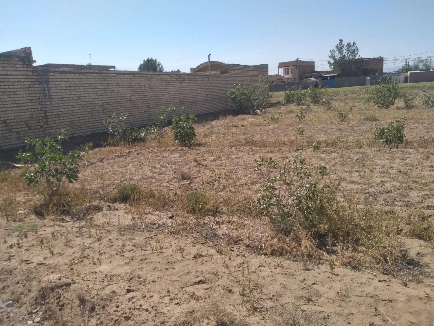 زمین دشت سعدآباد