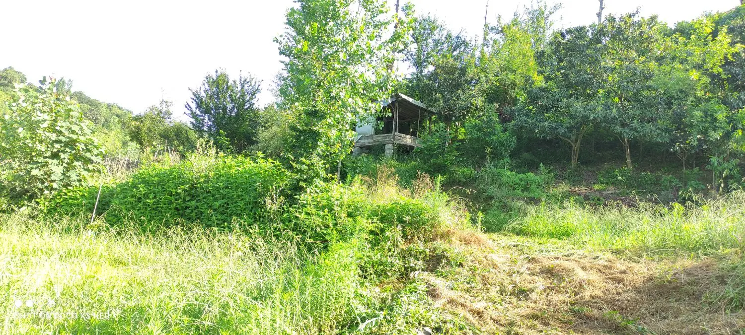 زمین داخل طرح هادی