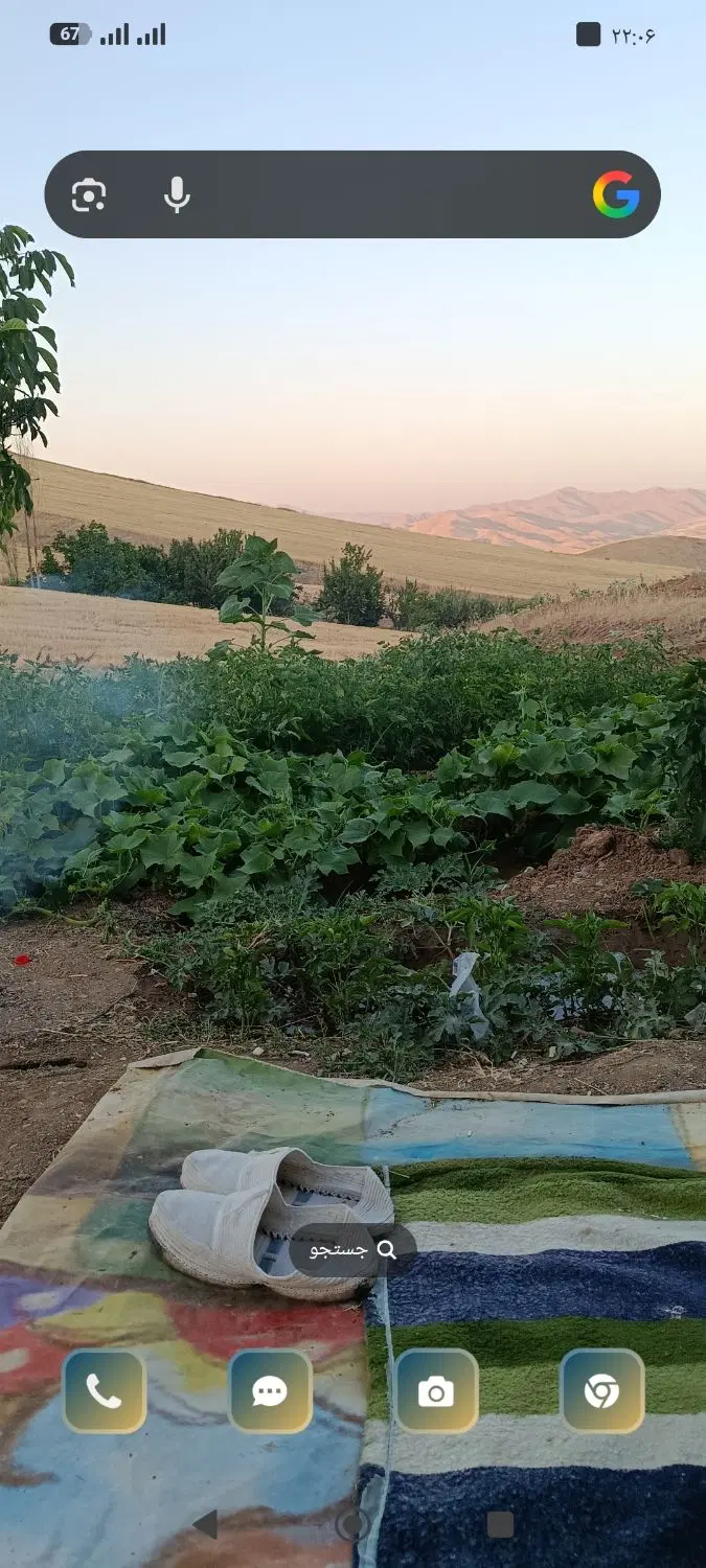 زمین کشاورزی