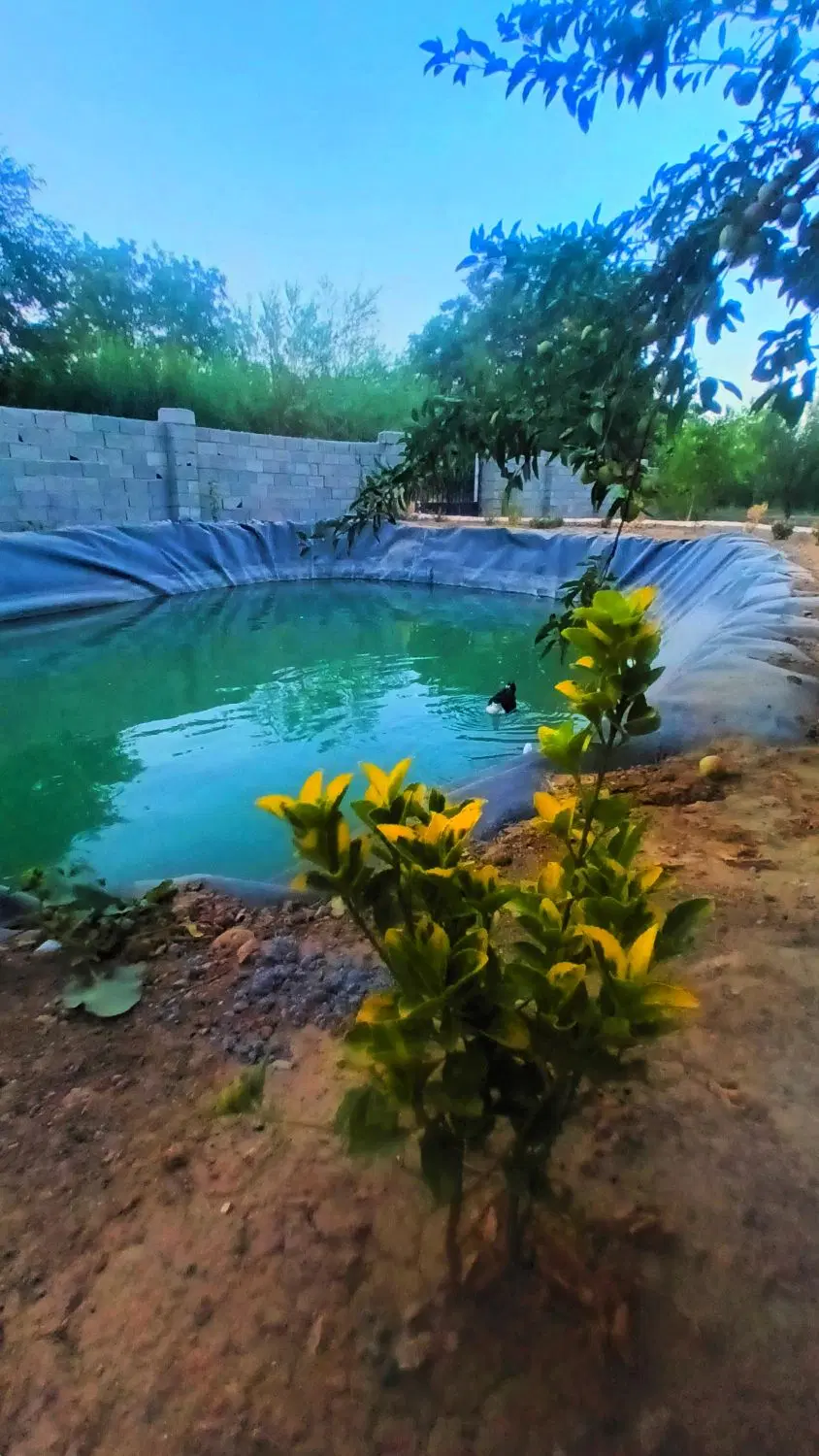 باغچه ۲۰۰۰متری  روستای عربلوی بیشه
