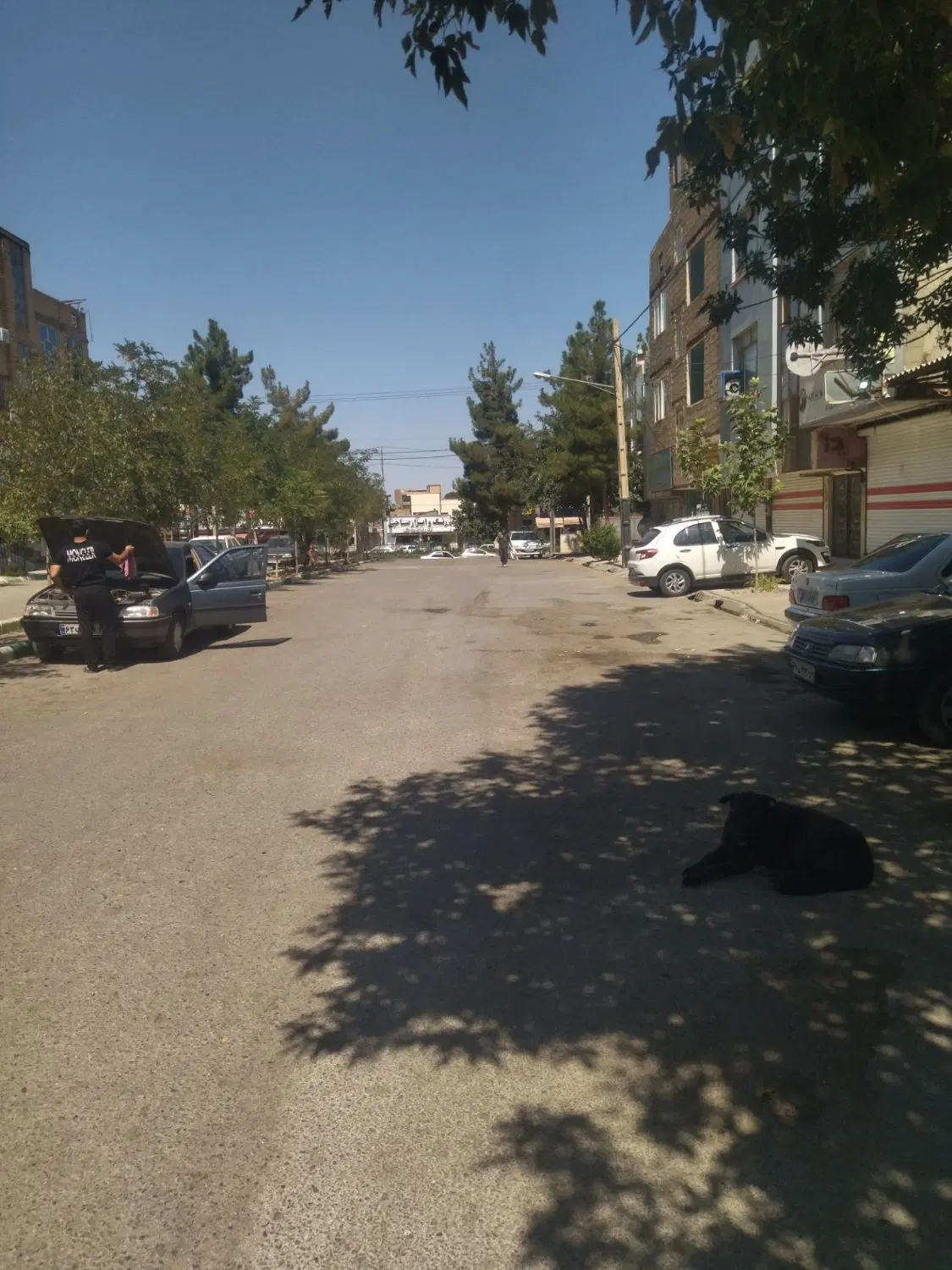 سوییت و مغازه در ویرانی