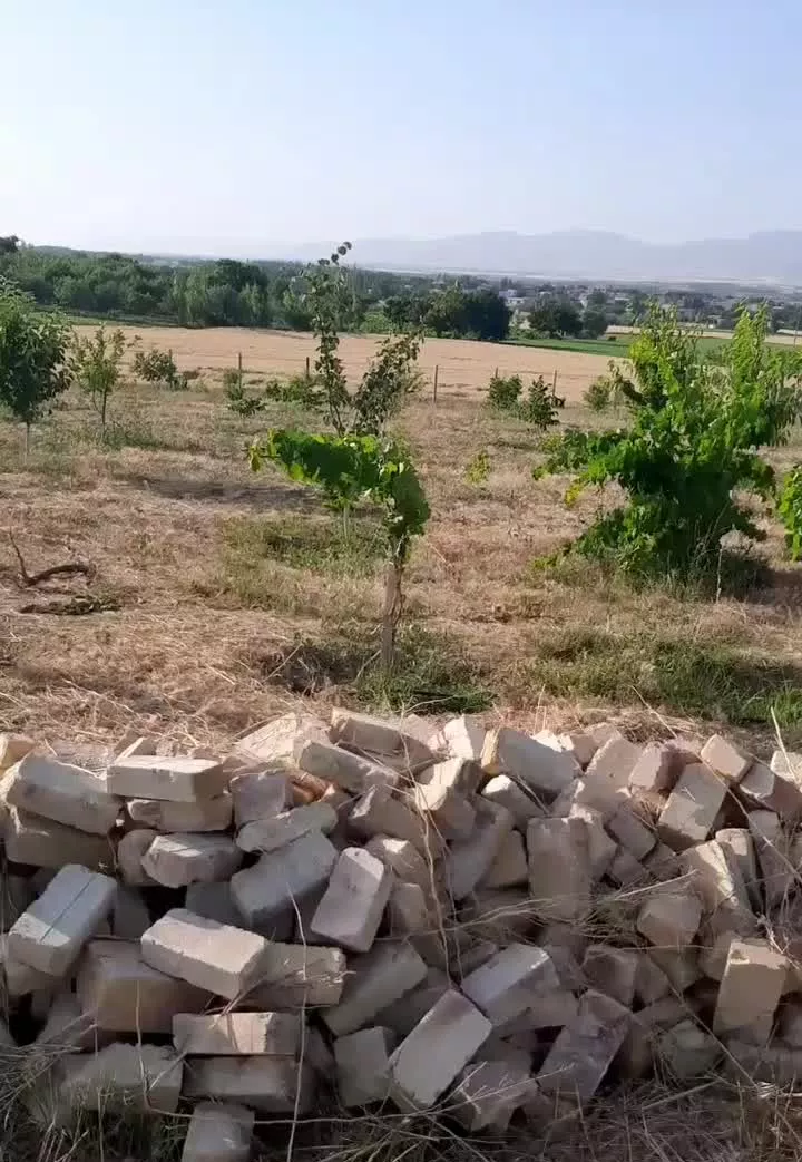 باغچه کوچک سند دار شهرستان