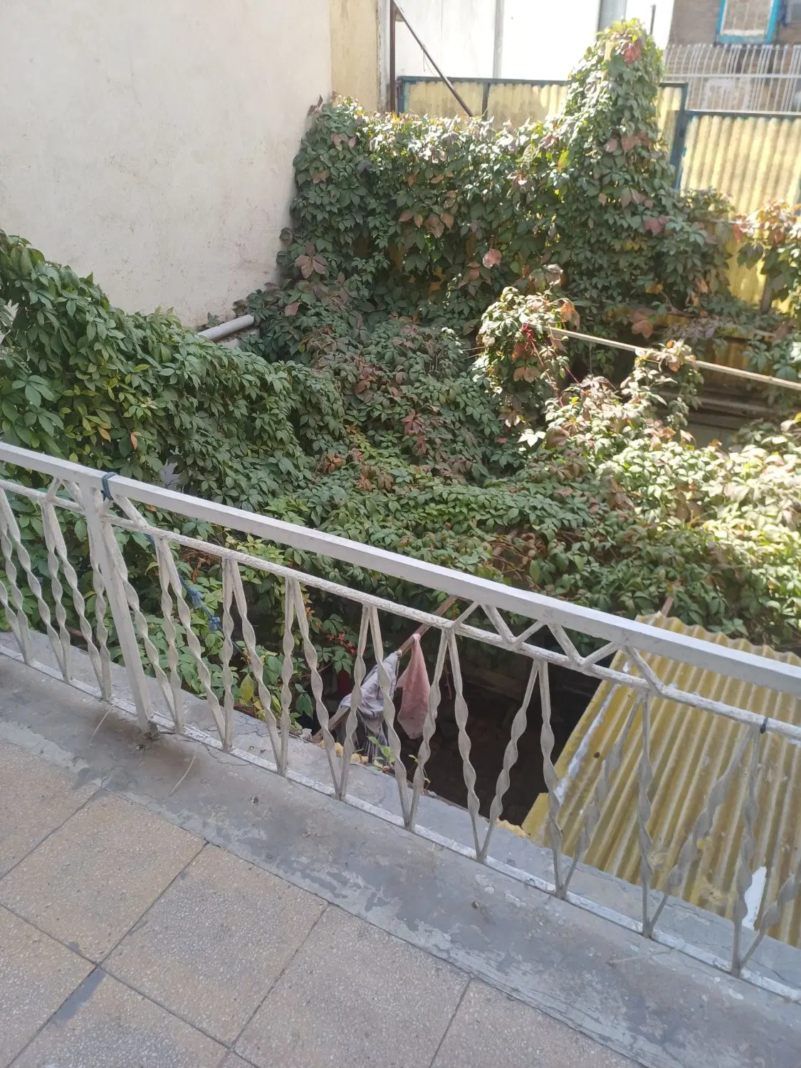 اجاره خونه جوادیه