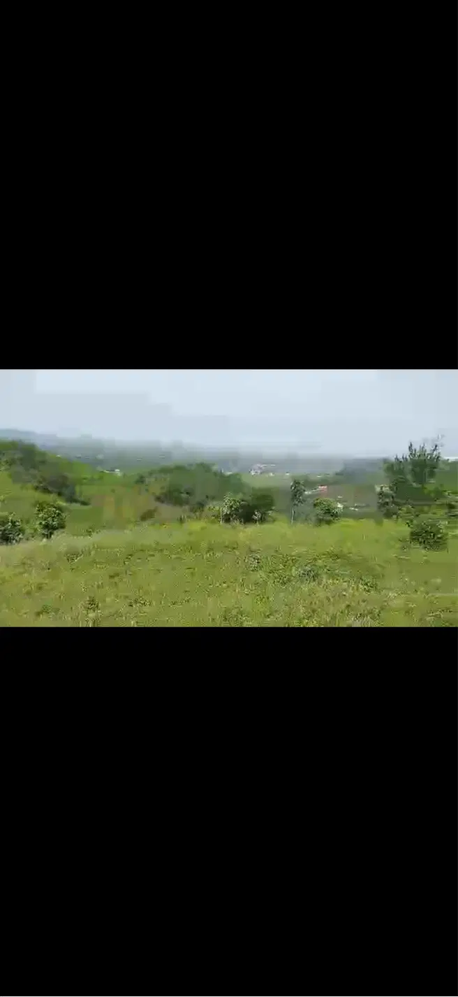 زمین باغی