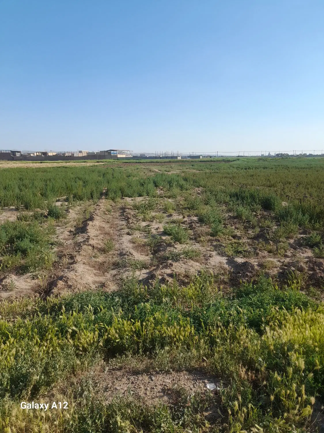 زمین ویلایی قراملک