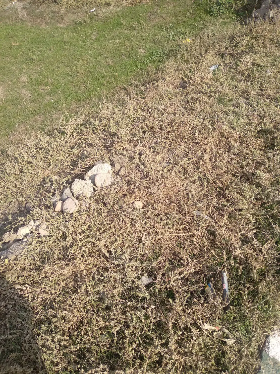 زمین فروشی