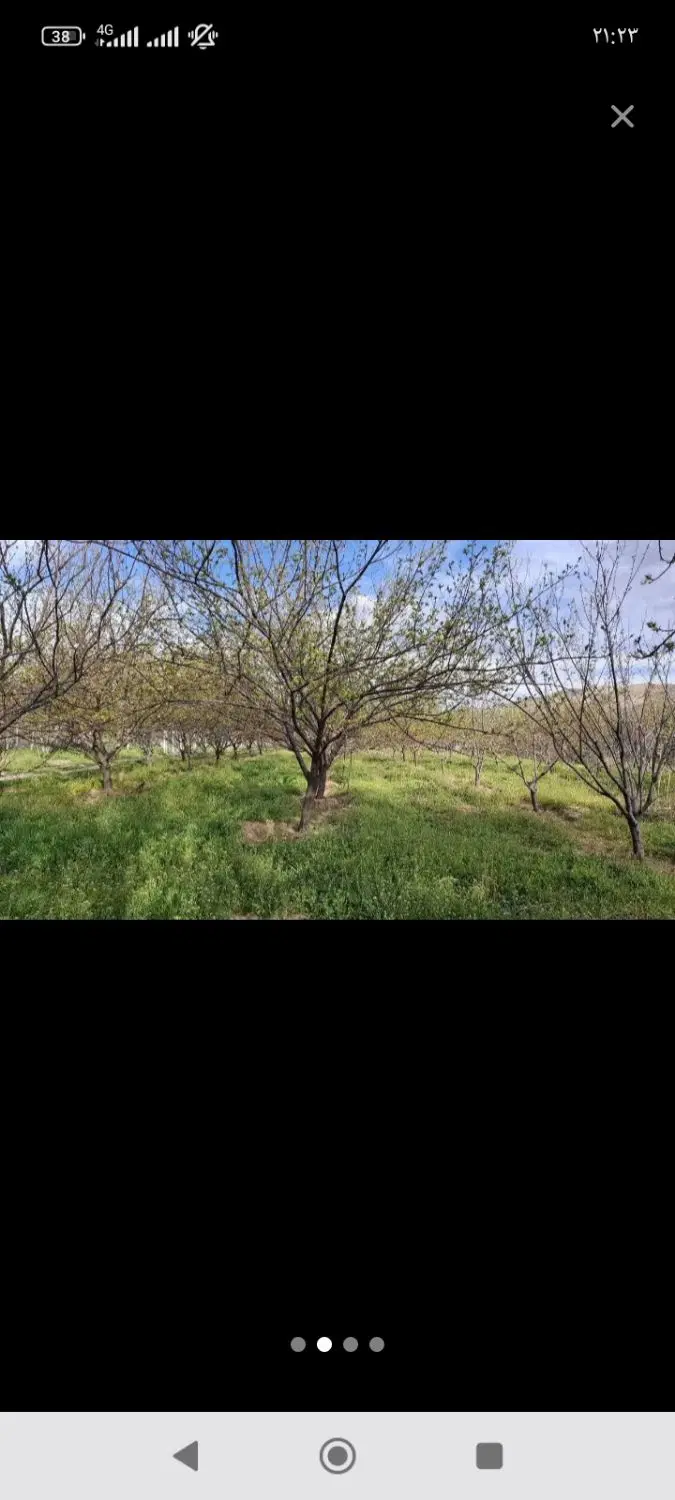 باغ دایی دو