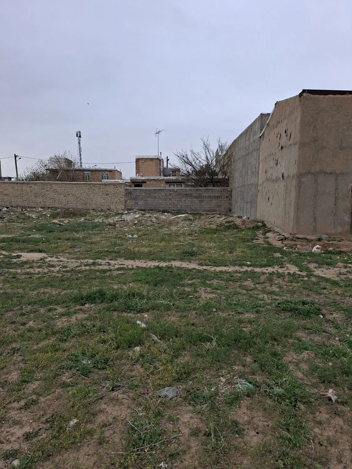 ملک فروشی