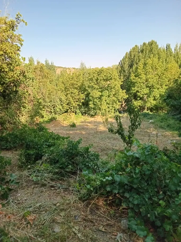 زمین چلوان (قاراقلیچه)