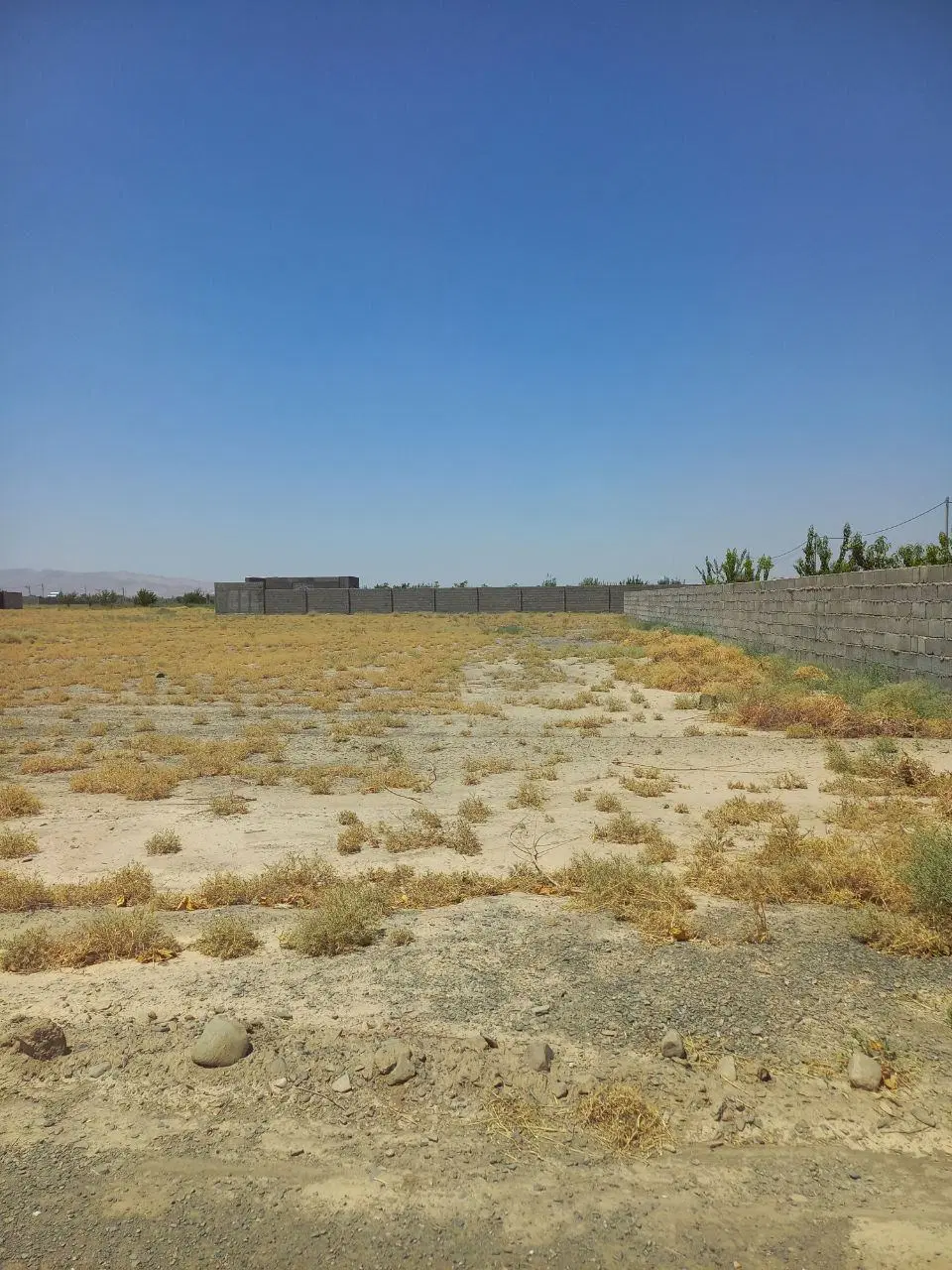 زمین 650 متری زراعی