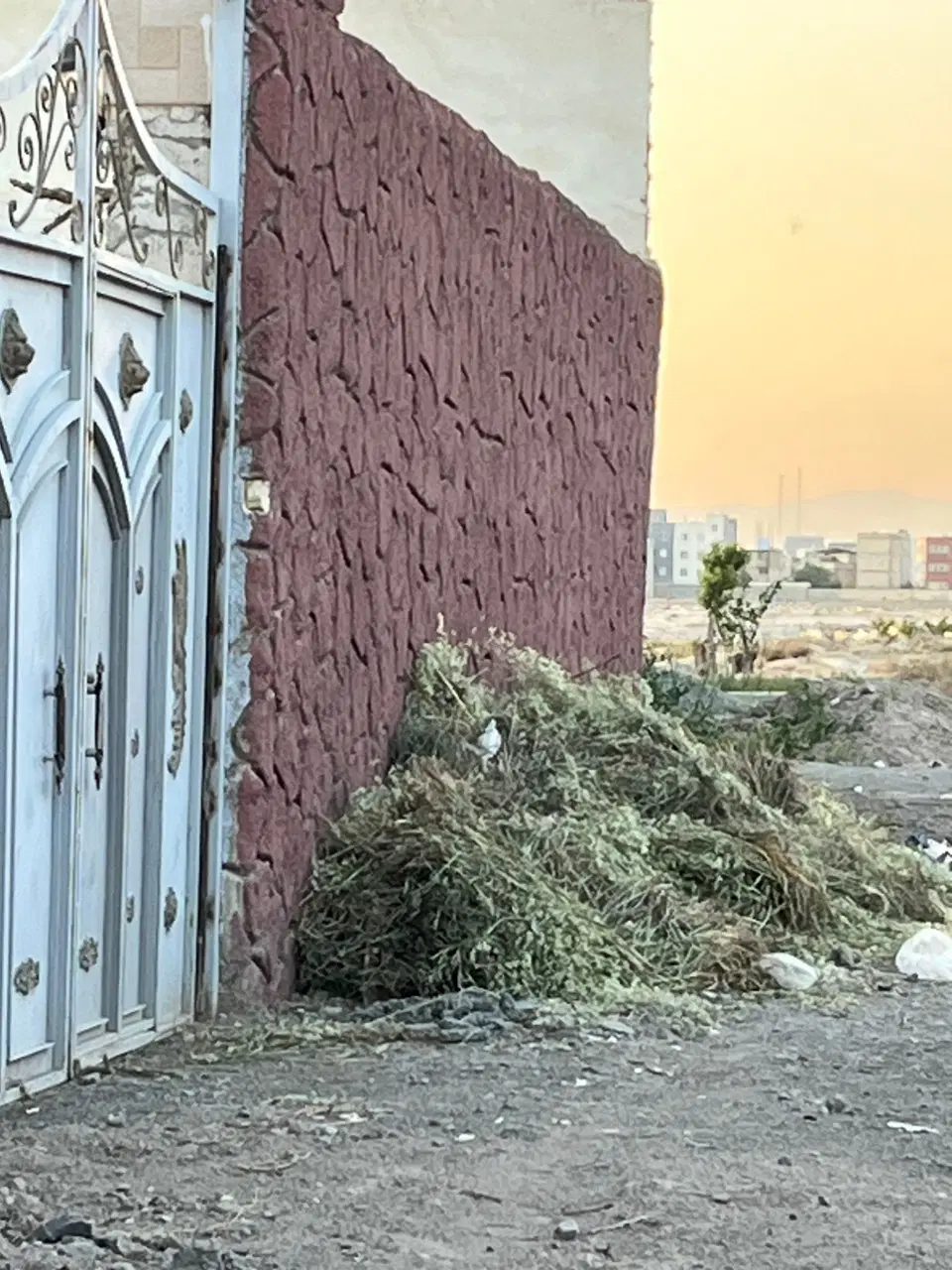 اجاره سوله واوان پشت امام زاده عیسی پلاک 14