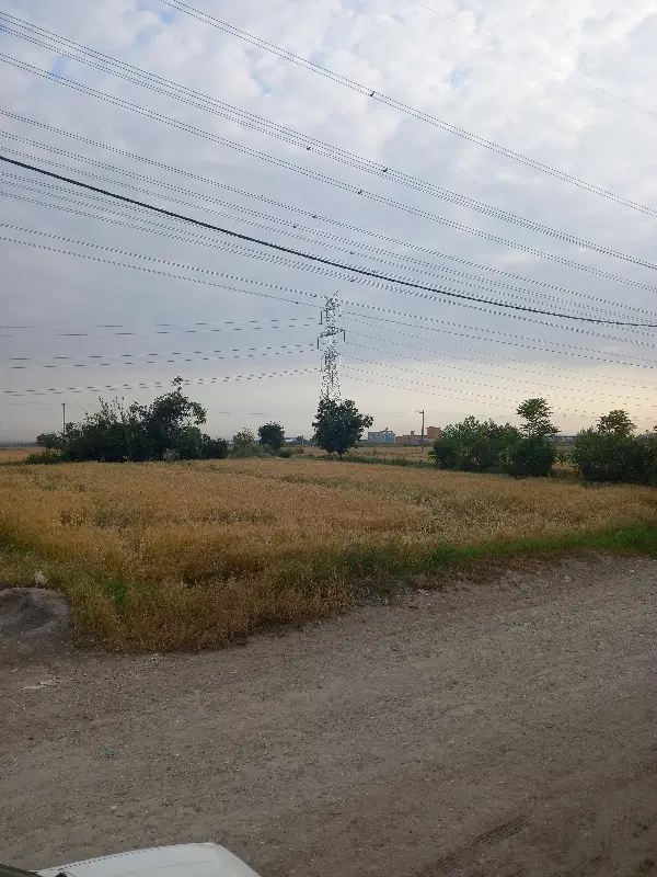 کشاورز حرفه ایی فروشی