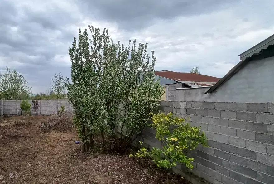 زمین ویلایی داخل کوچصفهان