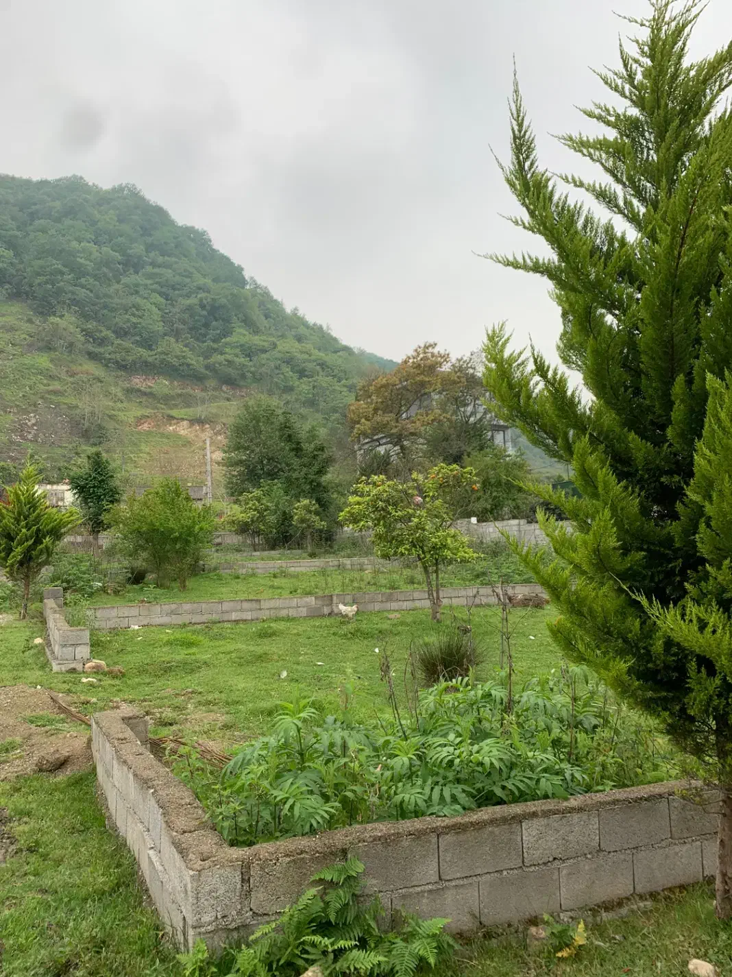 ۲۰۴ متر زمین شهرکی