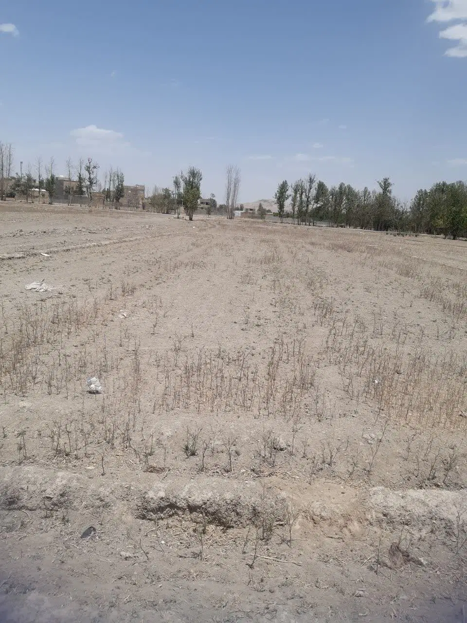 زمین کشاورزی