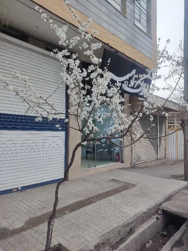 اجاره آپارتمان  در بهترین لوکیشن