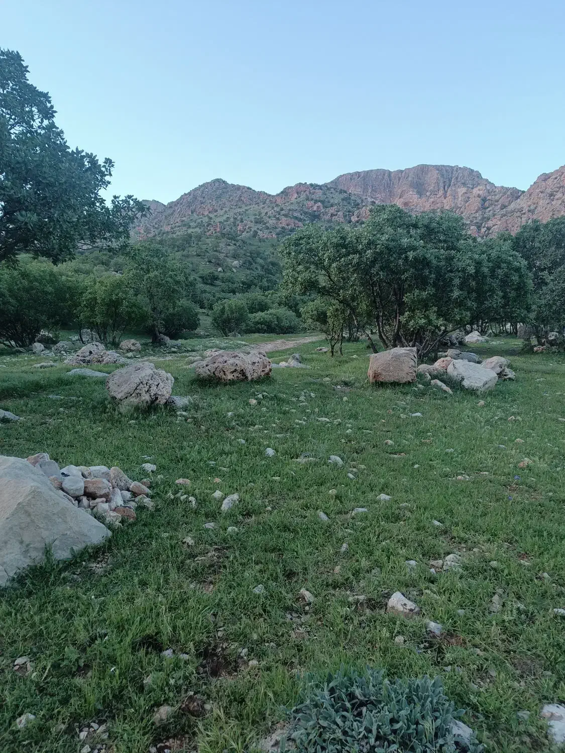 زمین میدان بسیج(میدانچه)