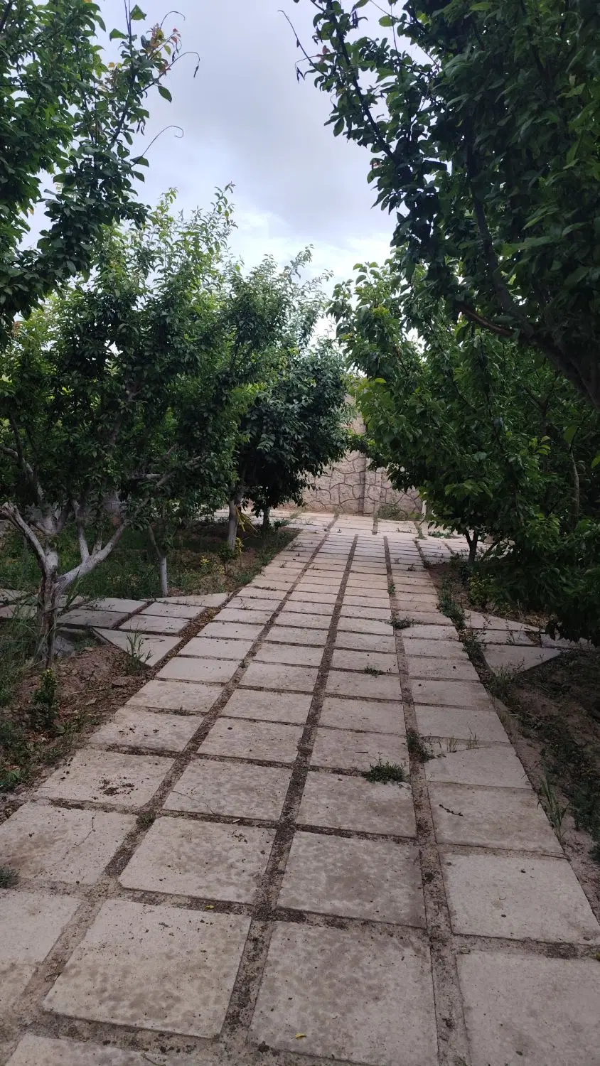 فروش انواع باغ و زمین دهشاد بالا