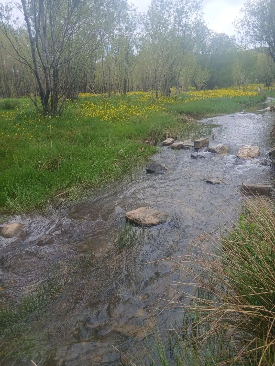 زمین باغی با حق آبه کامل