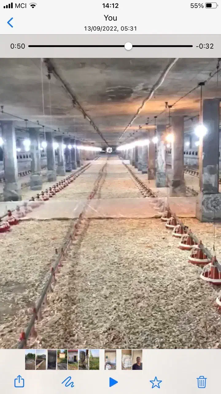 فروش مرغداری