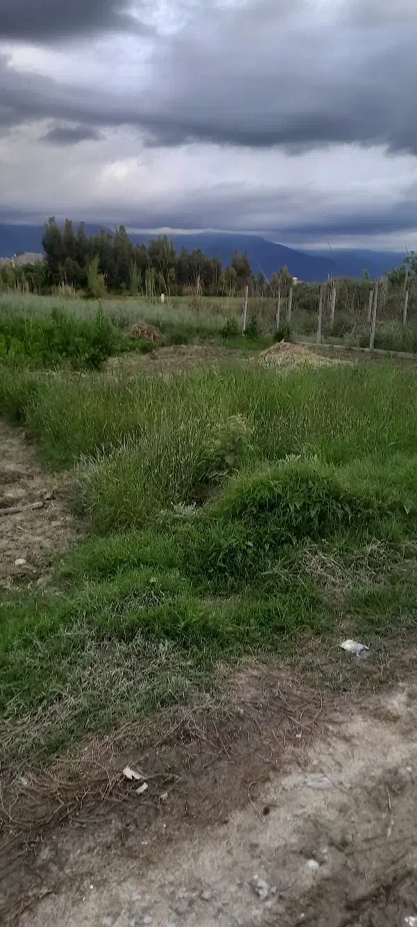زمین فروشی