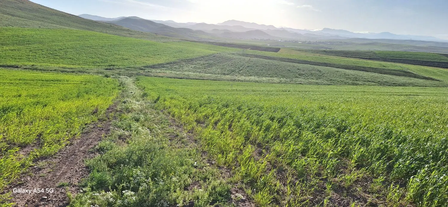 زمین کشاورزی ۵۲۰۰متر