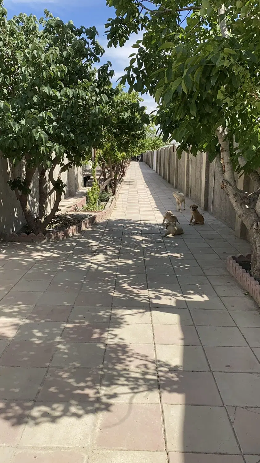 باغ واقع در شهریار بوکه ورودی کوچه باغ