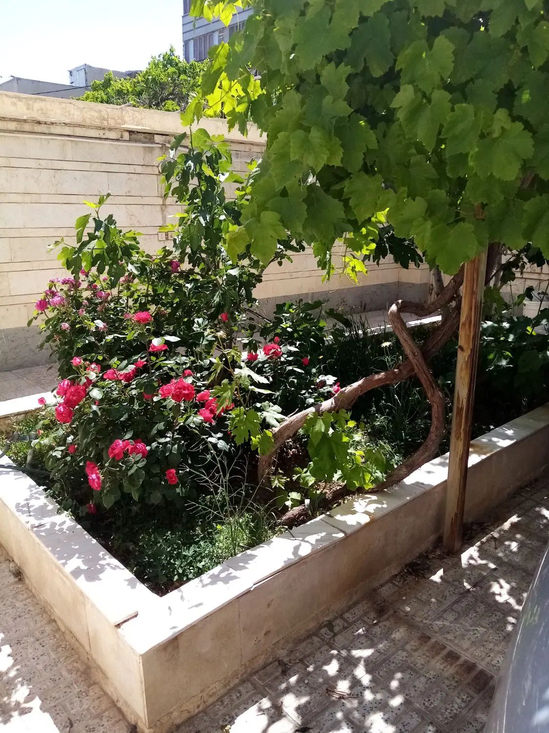 منزل ویلایی در مرکز اراک خیابان شهید بهشتی