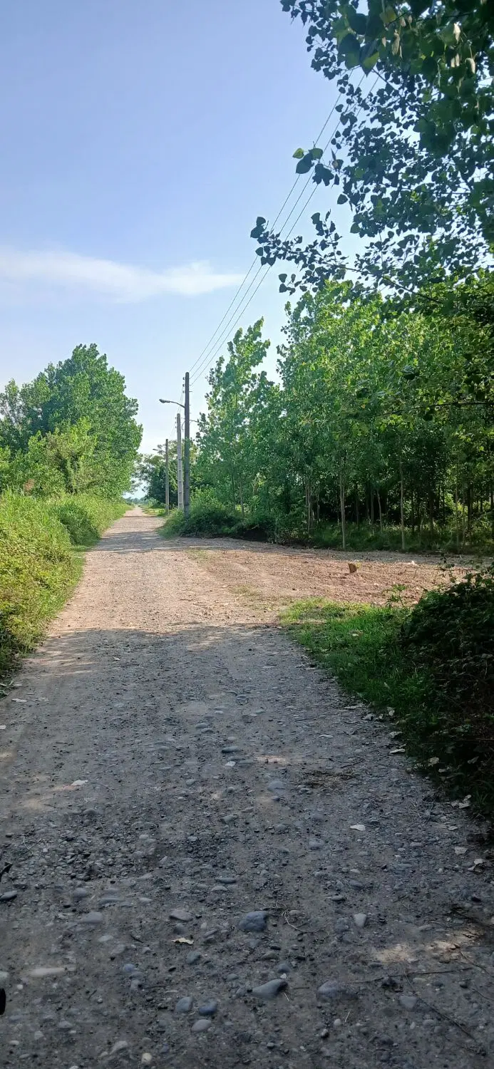 زمین داخل طرح هادی