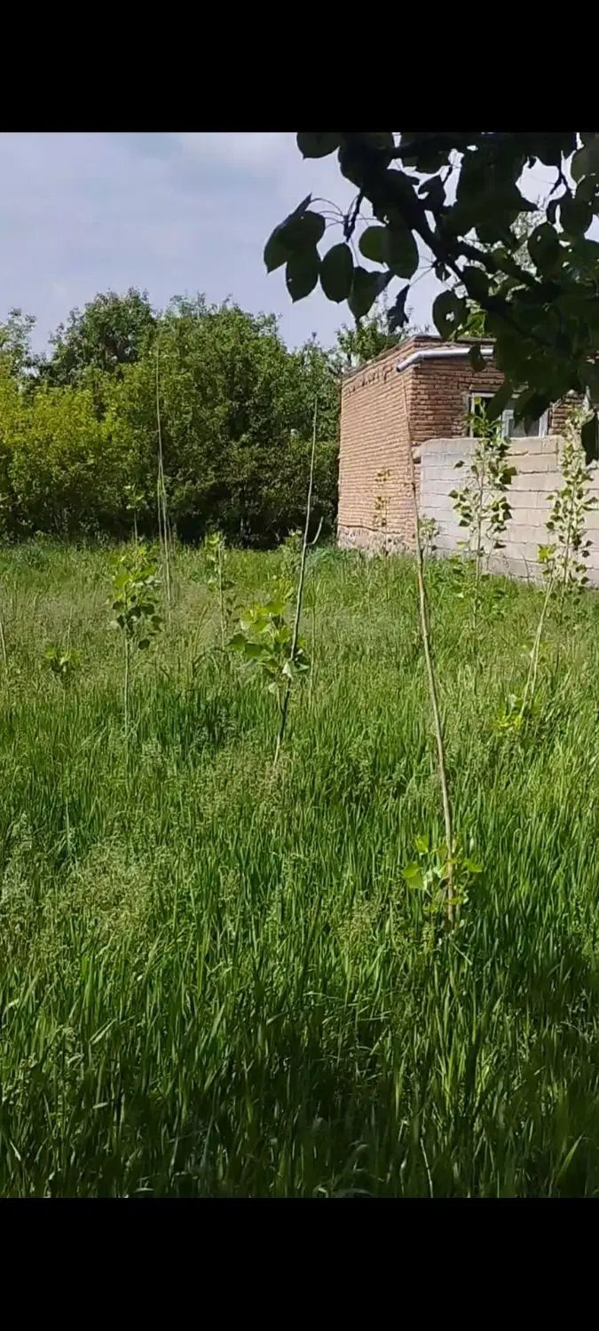 زمین زیبا و بکر پر از درخت برای ساخت ویلا